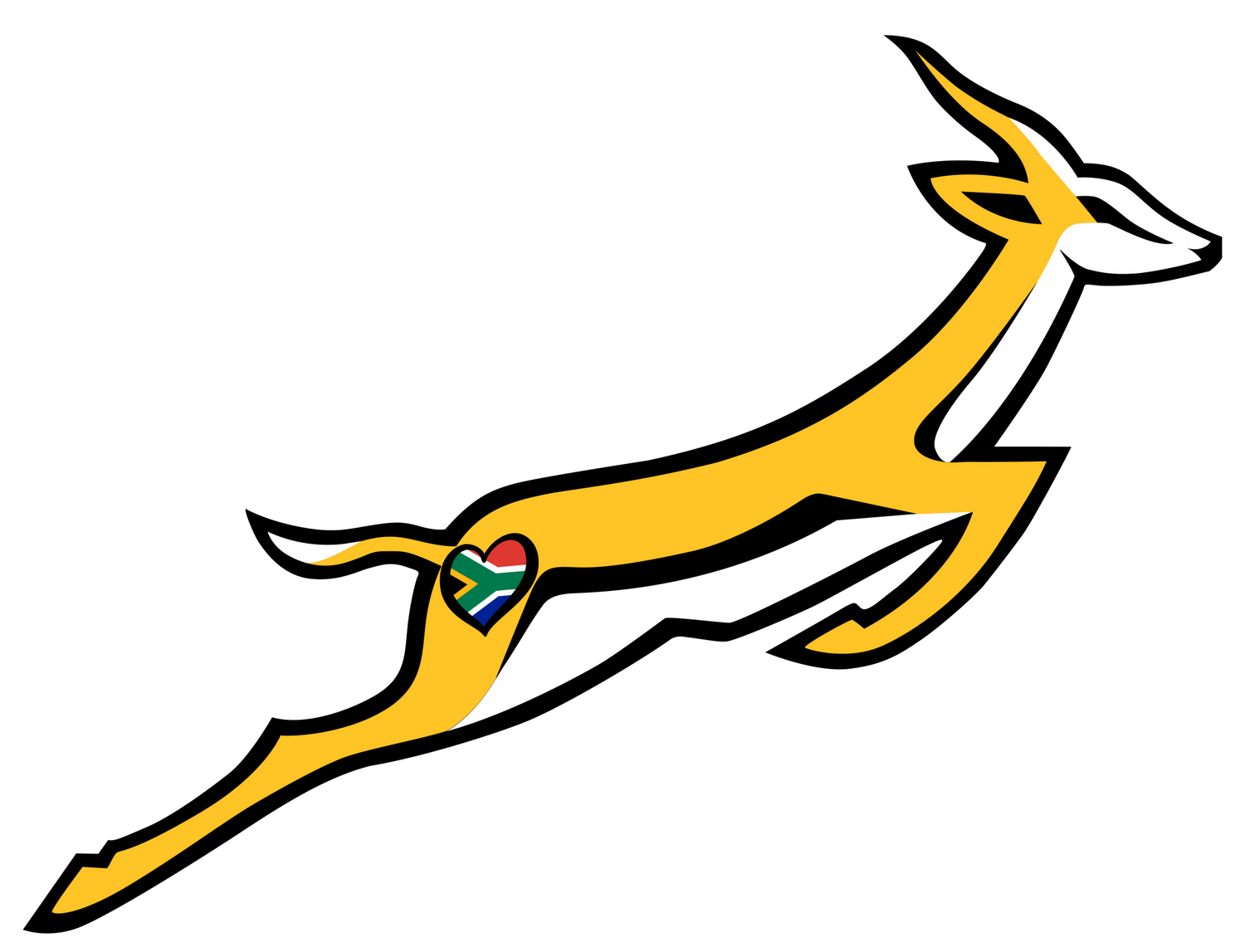 Springbok Fans - The Nomadic Saffa