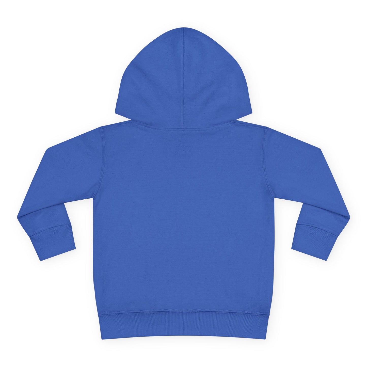 Astrobok Flying Toddler Pullover Fleece Hoodie