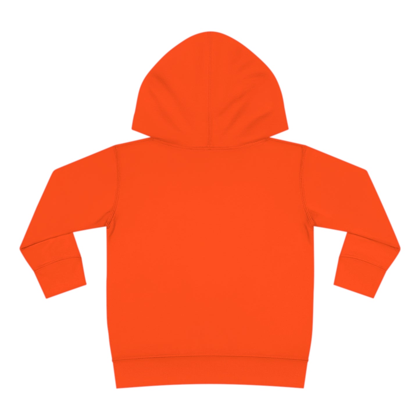 Astrobok Flying Toddler Pullover Fleece Hoodie