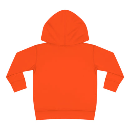 Astrobok Flying Toddler Pullover Fleece Hoodie