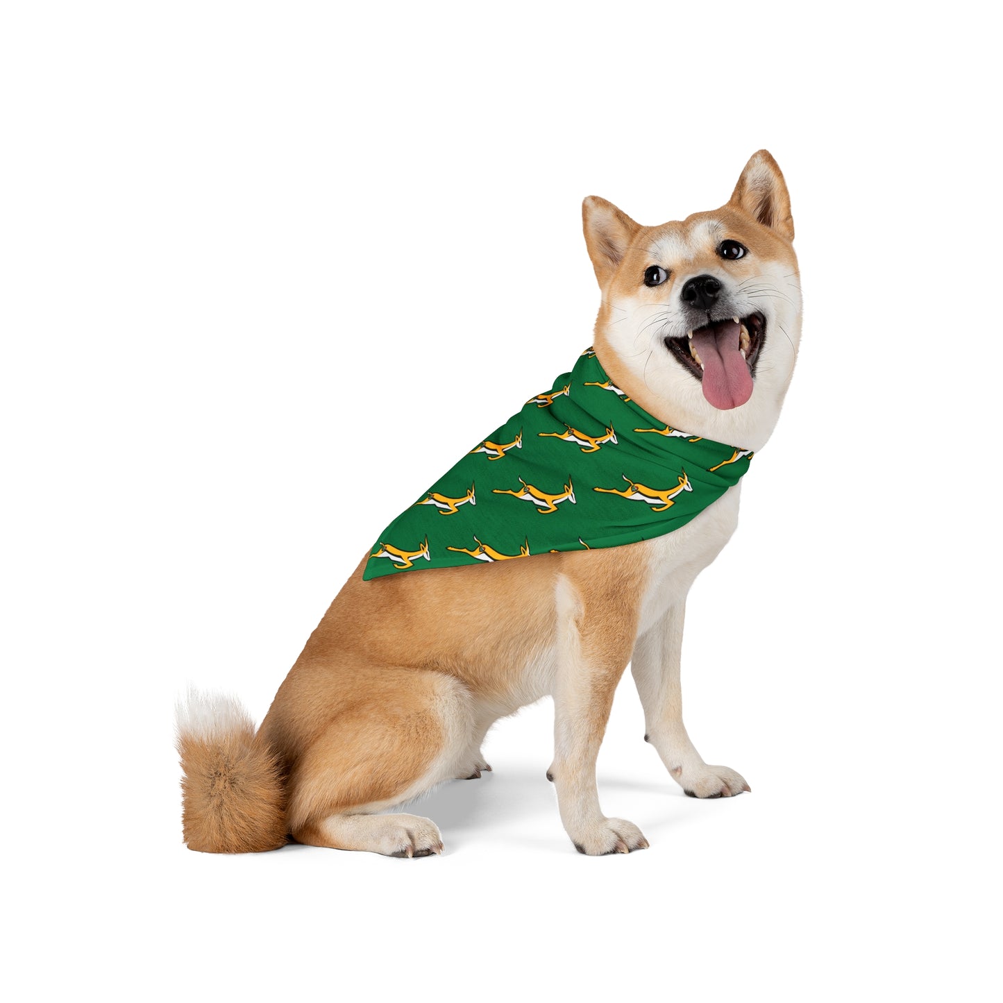 Boks in Green Pet Bandana