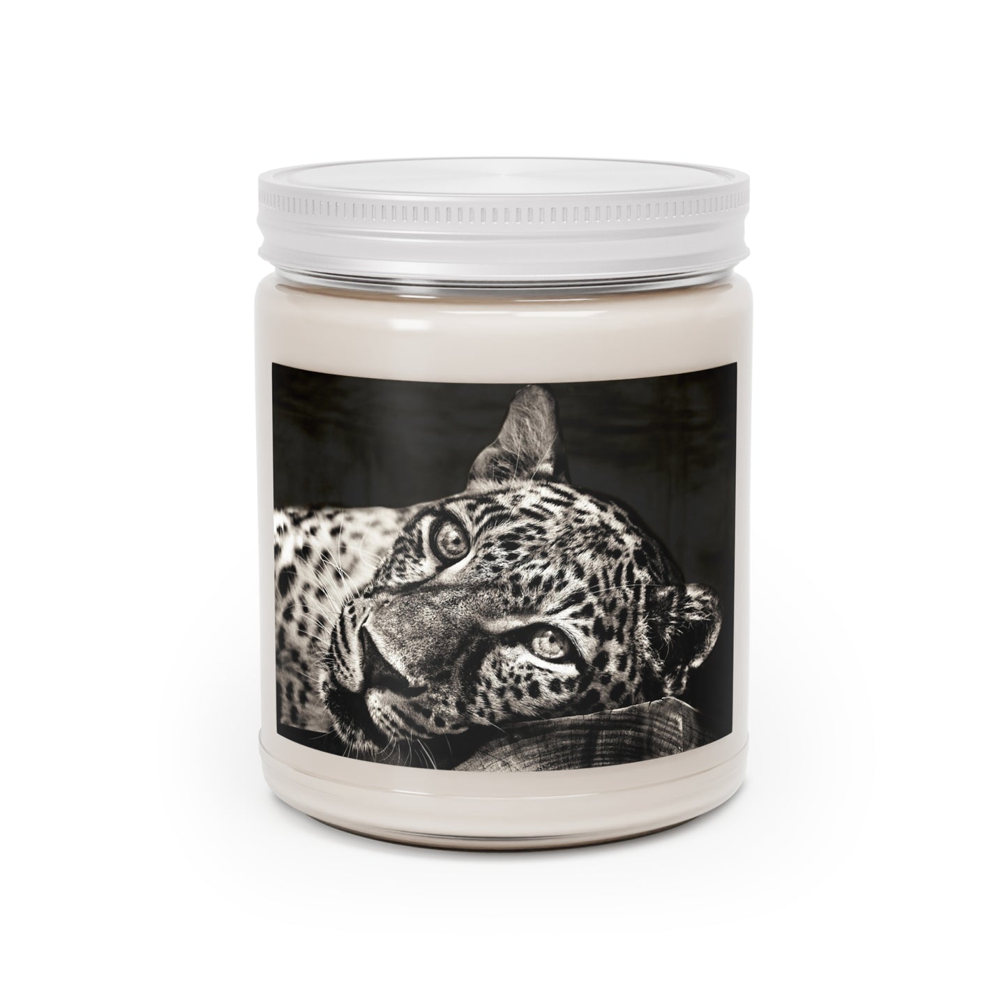 Resting Leopard Scented Candles, 9oz - Gifts for Big Cat lovers