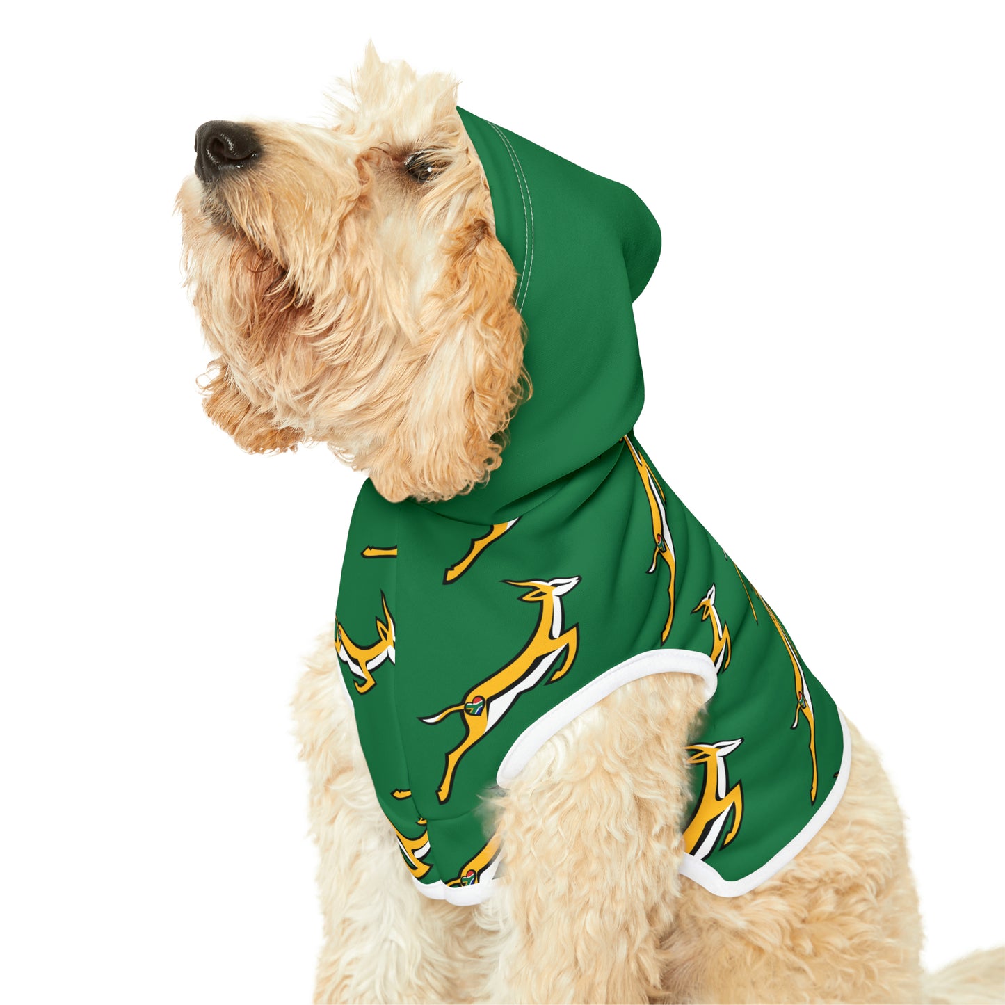 Boks in Green Pet Hoodie