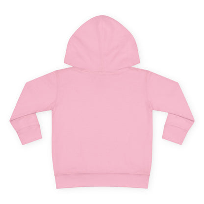 Astrobok Flying Toddler Pullover Fleece Hoodie