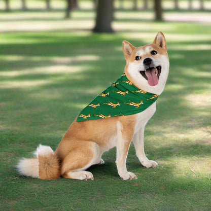 pet bandana