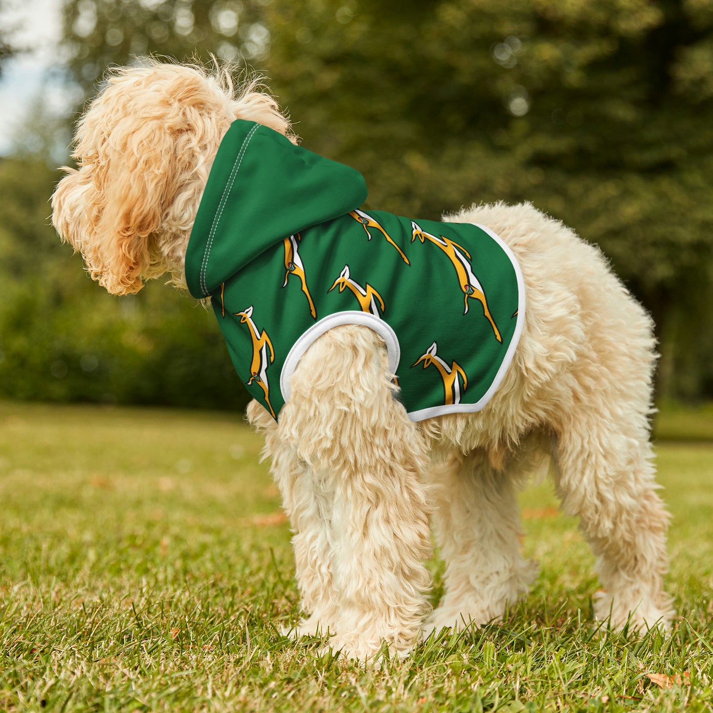 Boks in Green Pet Hoodie