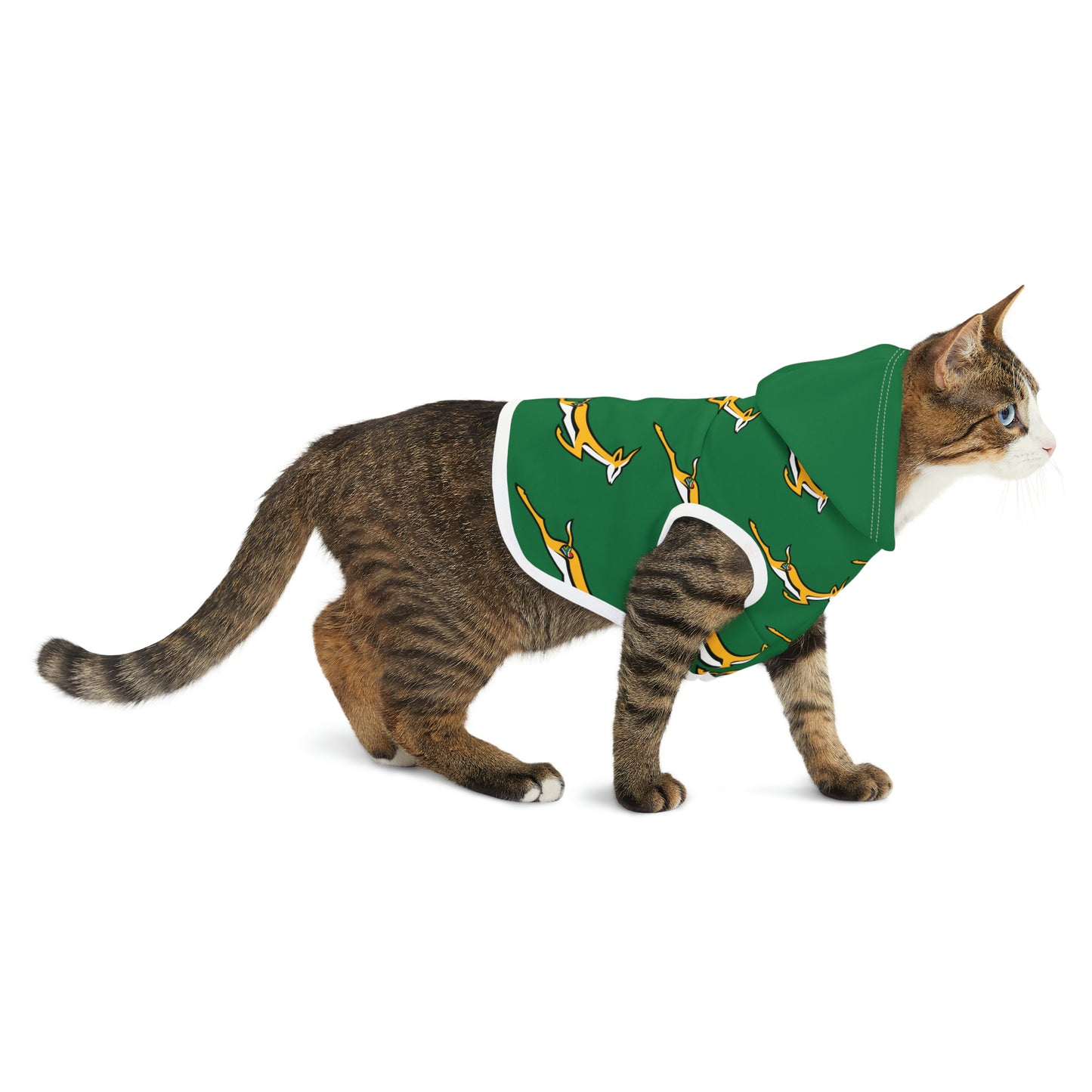 Boks in Green Pet Hoodie