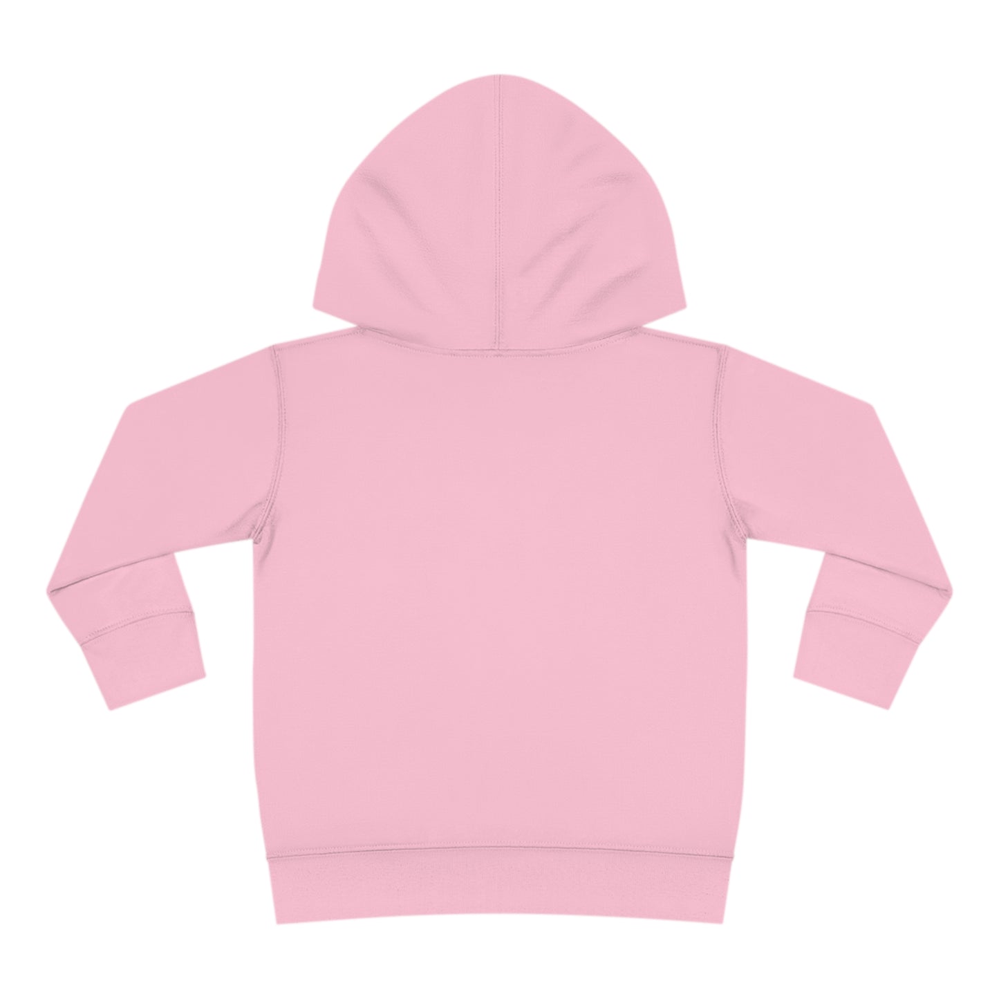 Astrobok Flying Toddler Pullover Fleece Hoodie