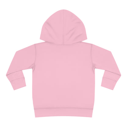 Astrobok Flying Toddler Pullover Fleece Hoodie