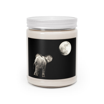 Scented Elephant Moon Candle / 9oz