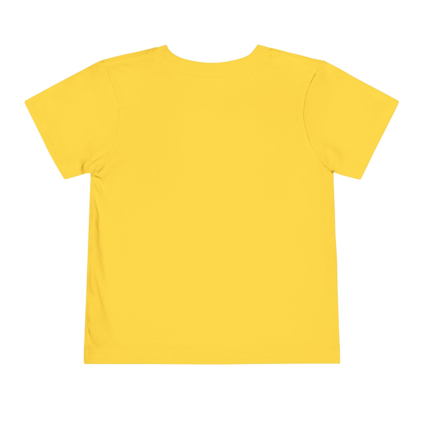 Astrobok Flying Toddler Short Sleeve Tee