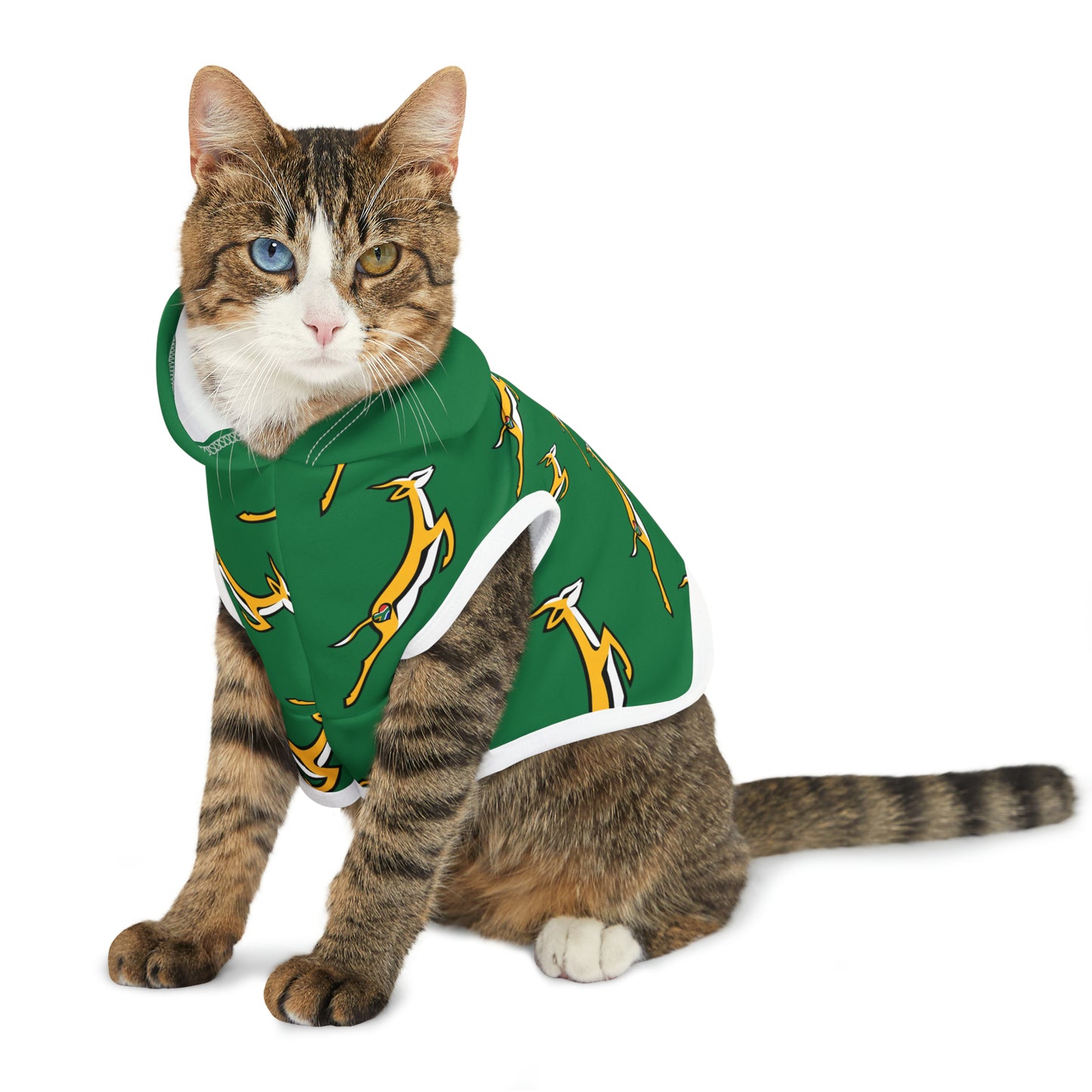 Boks in Green Pet Hoodie