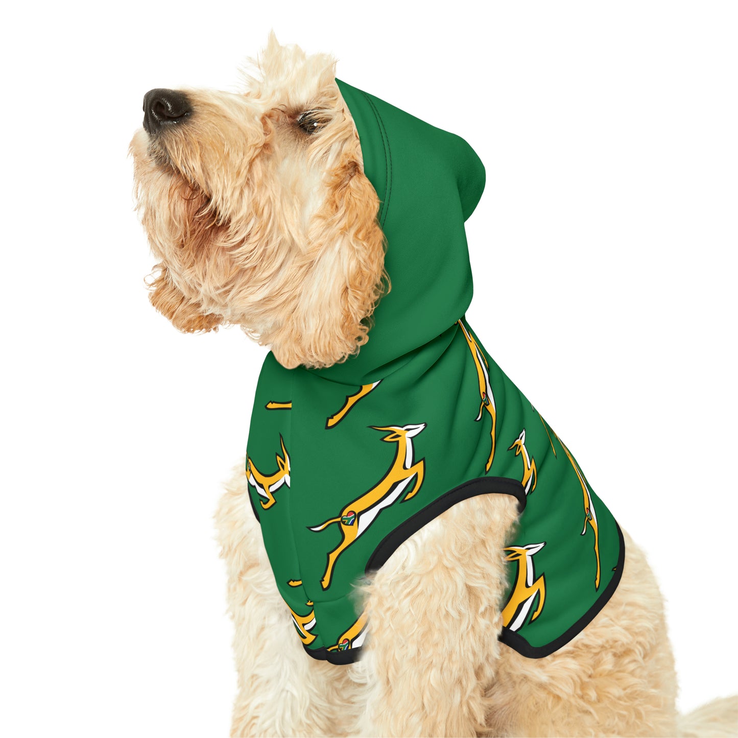 Boks in Green Pet Hoodie