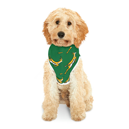 Boks in Green Pet Hoodie