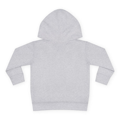 Astrobok Flying Toddler Pullover Fleece Hoodie