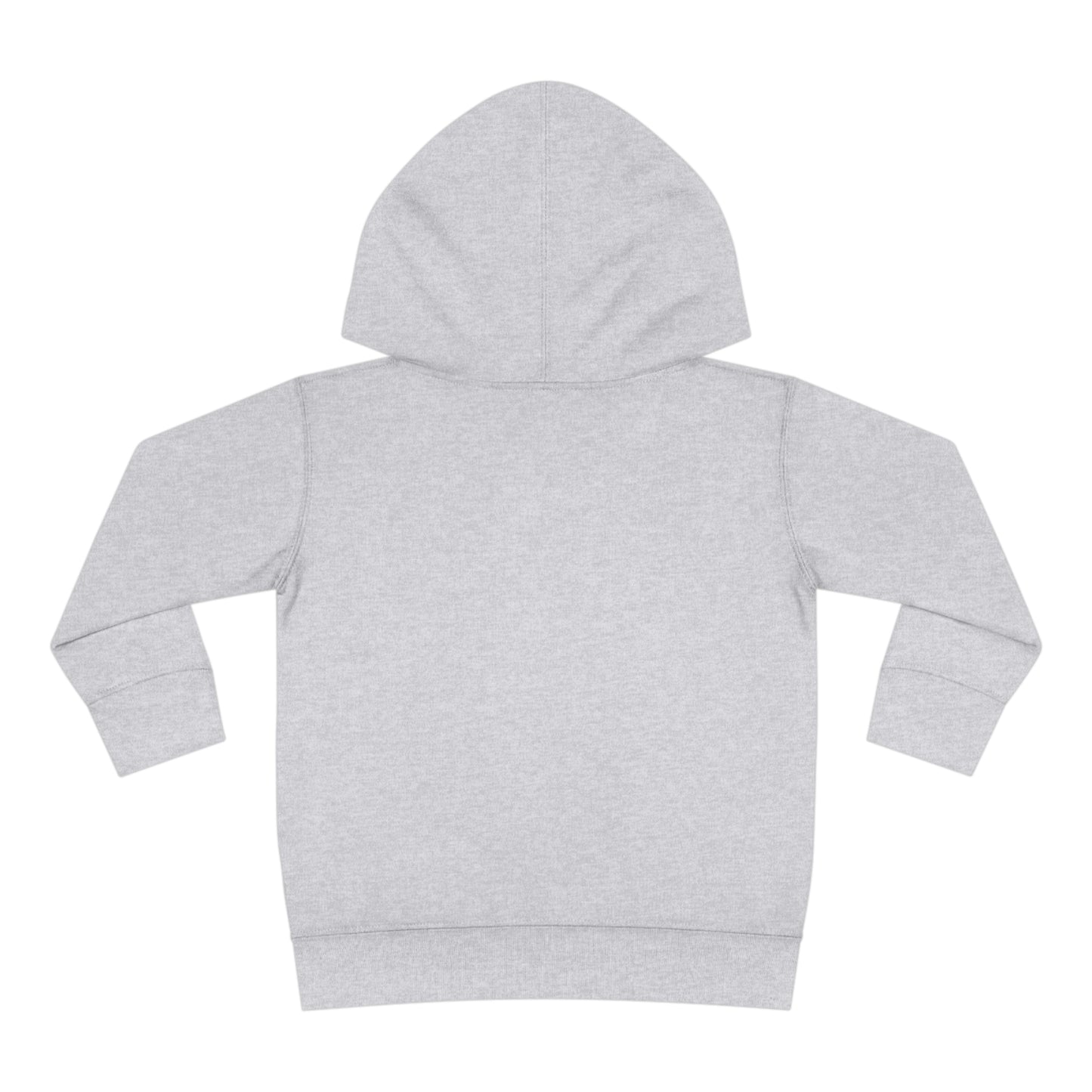 Astrobok Flying Toddler Pullover Fleece Hoodie