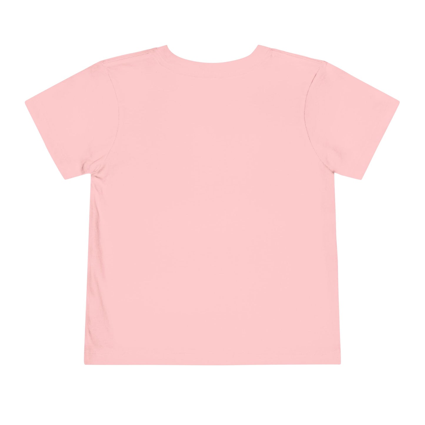 Astrobok Flying Toddler Short Sleeve Tee