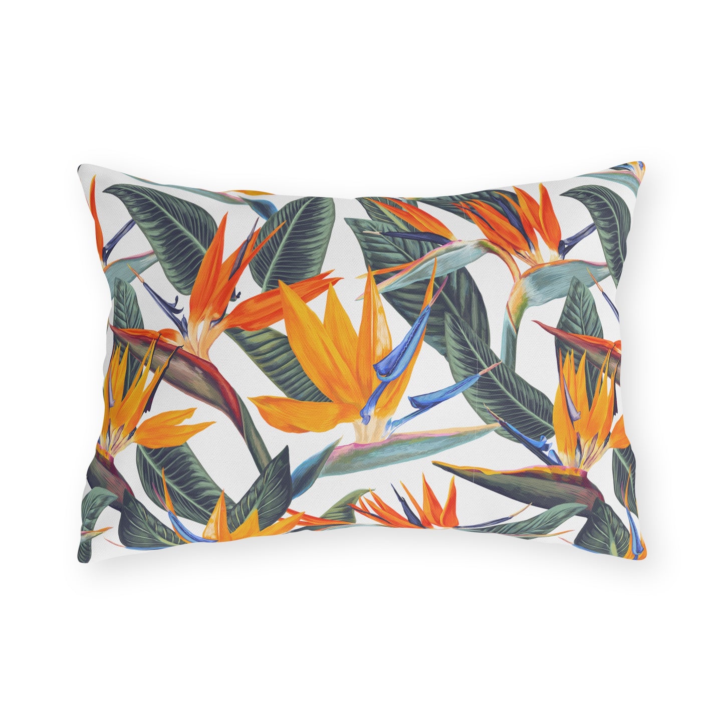 Strelitzia Outdoor Pillows