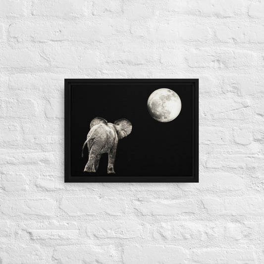 Elephant and Moon Framed canvas