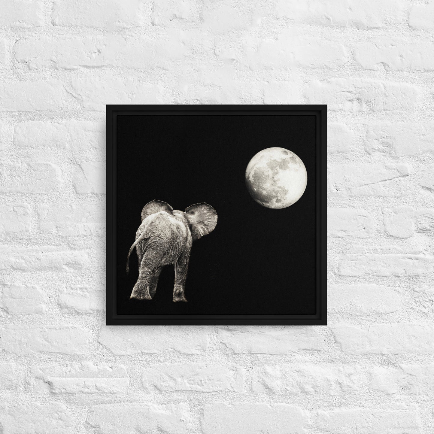 Elephant and Moon Framed canvas