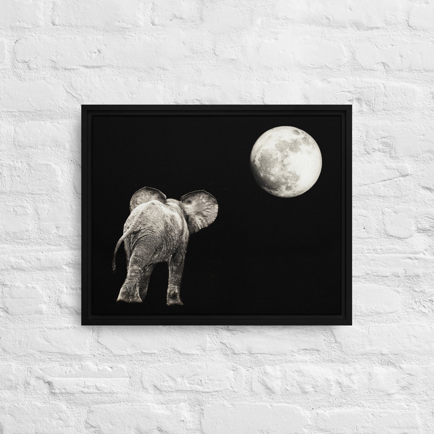 Elephant and Moon Framed canvas