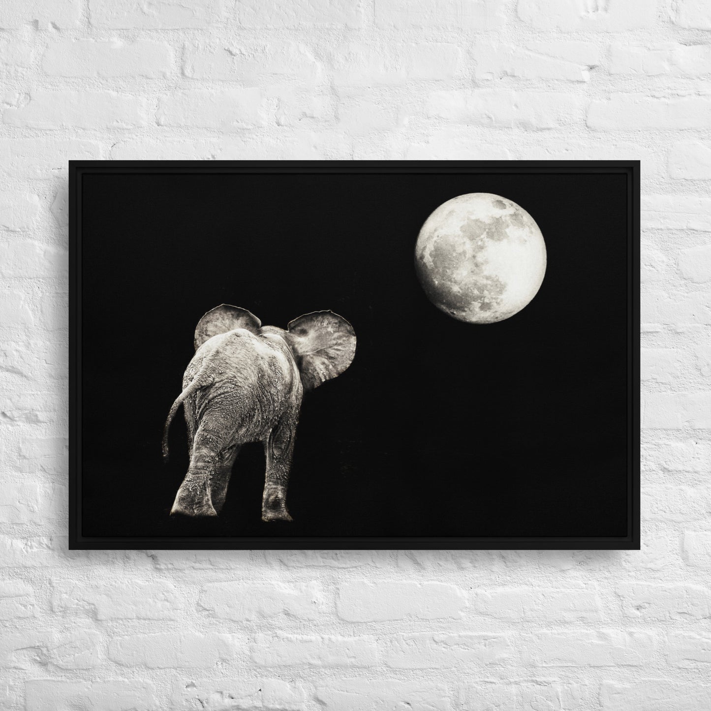 Elephant and Moon Framed canvas