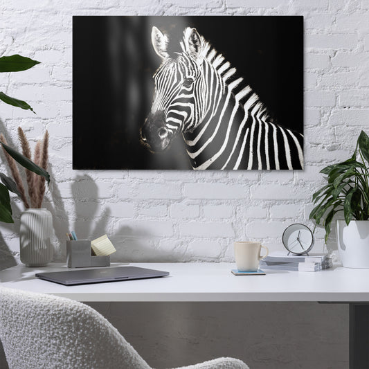 The Zebra Metal prints