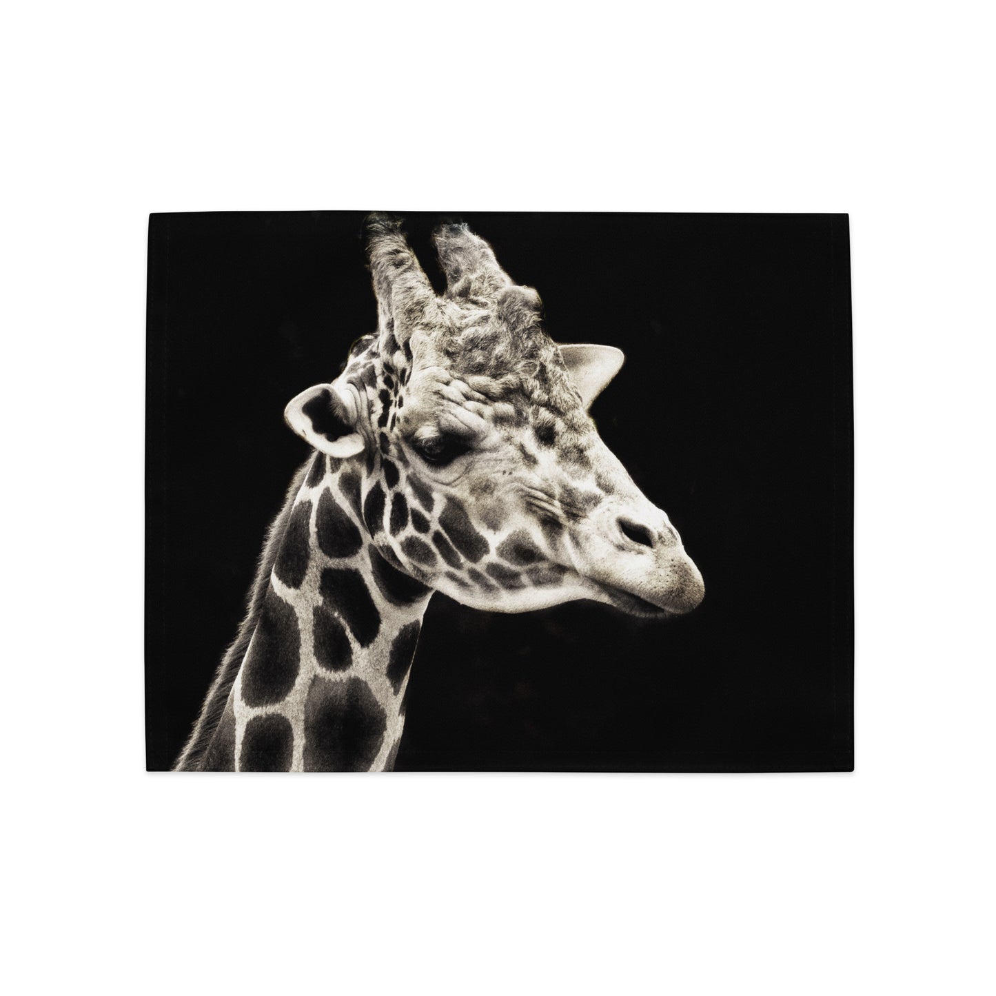 African Wildlife by Audrey Krüger Placemat Set (Giraffe/Lioness/Zebra/Rhino)