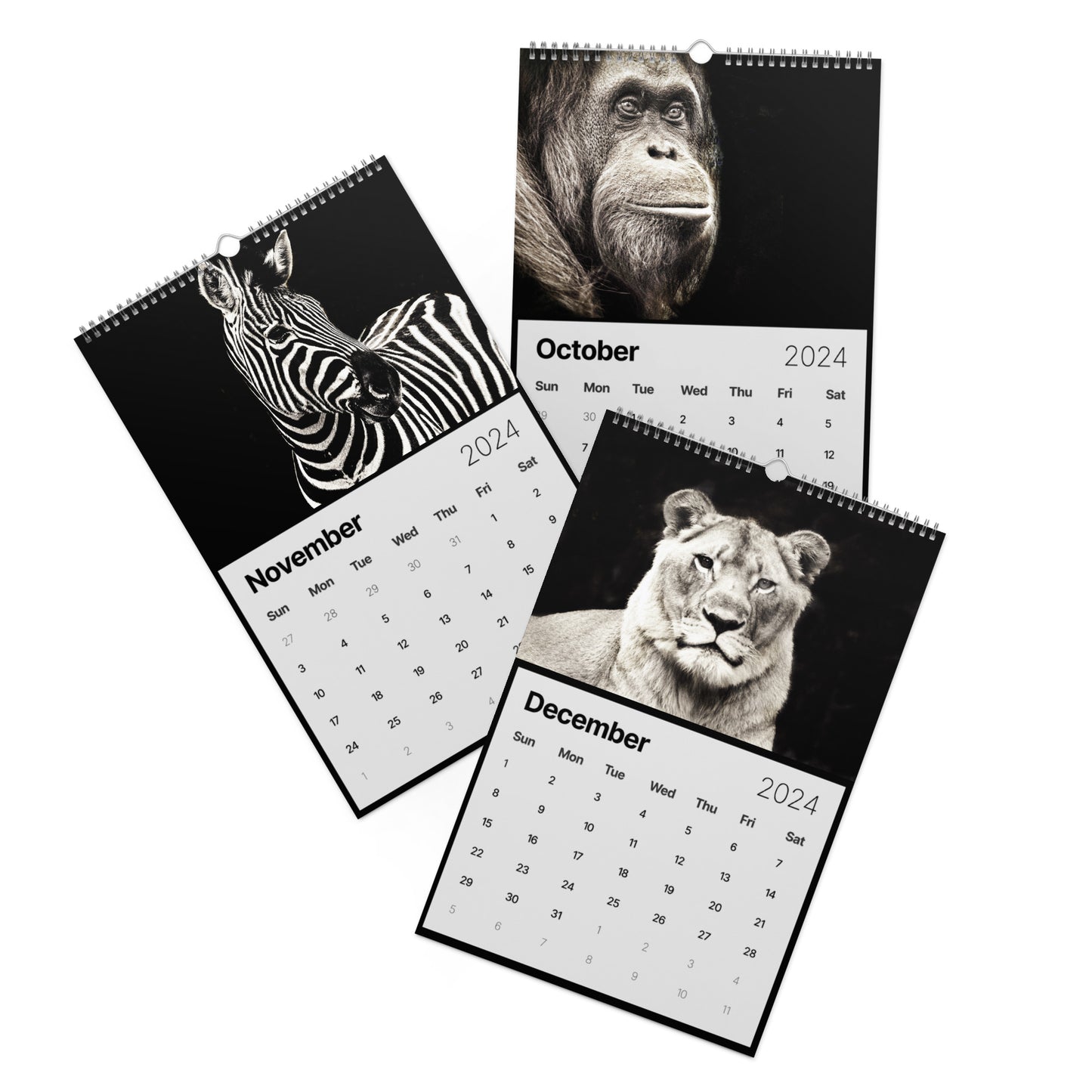 African Wildlife by Audrey Krüger Wall calendar (2024)