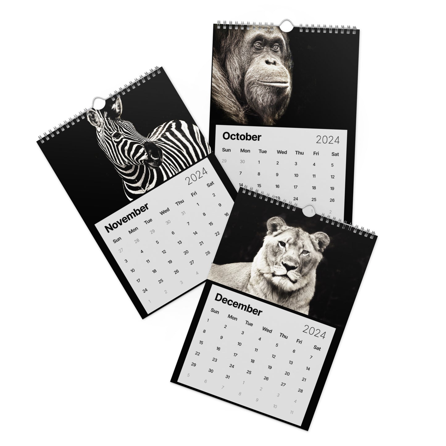 African Wildlife by Audrey Krüger Wall calendar (2024)