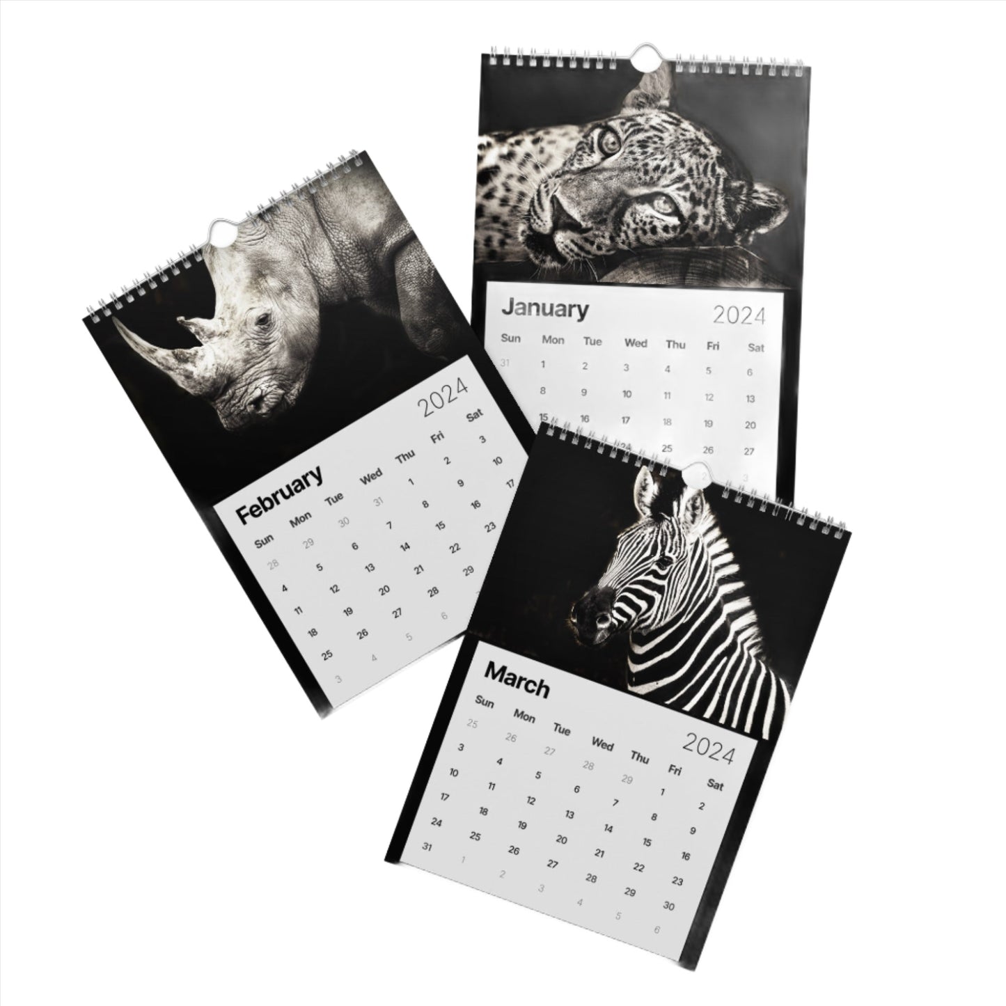 wildlife 2024 Calendar